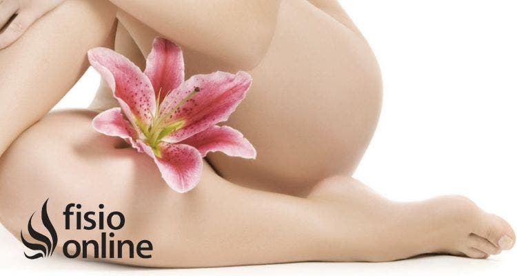 valoracion asfalto pelvico fisioterapia